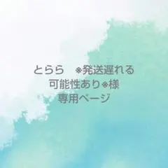 とらら　※発送遅れる可能性あり※様専用ページ