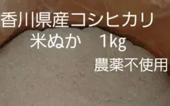 香川県産 コシヒカリ 米ぬか 1kg 農薬不使用のサムネイル