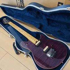Peavey USA wolfgang special purpleのサムネイル