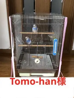 Item thumbnail for item 9555c0af-57b4-400a-8c70-cb44f0adfb84