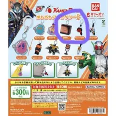 仮面ライダーシリーズ　めじるしアクセサリー5 ④闇菓子⑤ブーストバックル