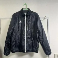 Item thumbnail for item 4016c7aa-7595-4c43-9c07-9ceb34d37fc0