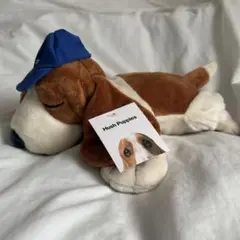 hush puppies ハッシュパピー　大谷翔平　デコピン　ぬいぐるみのサムネイル