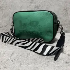 未使用級✨️コーチ カメラバッグ ショルダーバッグ 2層 レザー ゼブラ グリーン