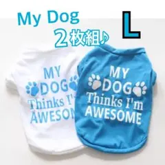 Item thumbnail for item 5d0f4656-37aa-4723-911e-5fb031431cf4