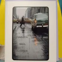 まだ見ぬソール・ライター　THE UNSEEN SAUL LEITER