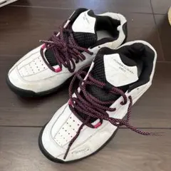 Item thumbnail for item 1e57d86d-1b27-409b-aada-28fc0b5f1cb4