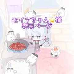 セイヤちゃん⭐️様　専用ページ