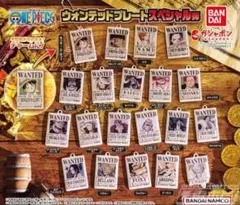 【ボア・ハンコック】ワンピース ウォンテッドプレートスペシャル弾