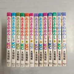 〔R8 3/29〕あさきゆめみし　全13巻セット