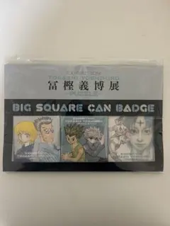 冨樫義博展 HUNTER × HUNTER ハンターハンター 缶バッジセット