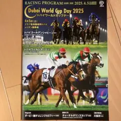 2025年最新】ドバイ レーシングプログラムの人気アイテム - メルカリ