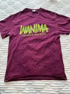 WANIMA ワニマ　Tシャツ one chance