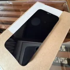 iPhone12 Pro 256GB バッテリー100％　SIMフリー　残債無し
