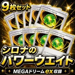 シロナのパワーウエイト 9枚セット まとめ売り ポケカ グッズ トレーナーズ