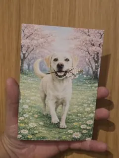 Item thumbnail for item 703fc254-41b8-49ac-820e-1b80ba846ec3