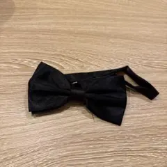 Item thumbnail for item d72e1bdb-4aa3-4dac-9f9b-8404599484d7