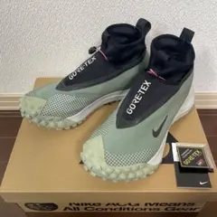 NIKE ACG Mountain Fly Low GTX SEのサムネイル