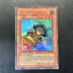 モンちゃん@まとめ買い歓迎様 リクエスト 4点 まとめ商品