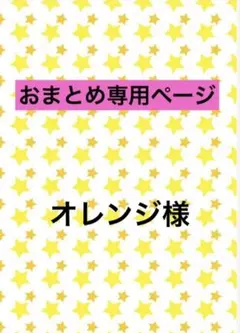 オレンジ様 リクエスト 2点 まとめ商品