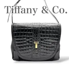 希少　ティファニー　ショルダーバッグ　クロコ型押し　ユニセックス　金具　ブラック Tiffany Tote-Black – Simply Dixie Boutique