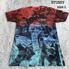00s old stussy ステューシー フォト Tシャツ - メルカリ