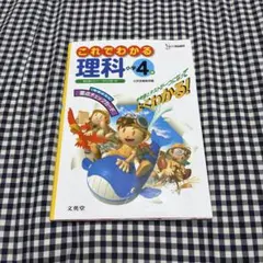 Item thumbnail for item 5a8ef6c7-3bcc-417b-8a1b-6537a91b5f51