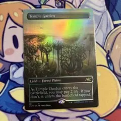 2026年最新】寺院の庭 foilの人気アイテム - メルカリ