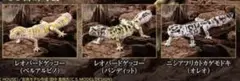 いきもの大図鑑アドバンス SELECTED EDITION 02 3種セット