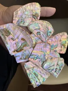 夜光貝 高級な夜光貝 特大サイズ17x19cm 色合いがとても美しい 置物 夜光貝