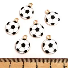 ポコポコさま専用ページ♡2日迄☆他の方購入不可