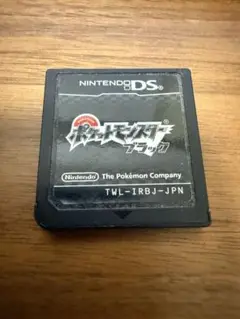 ポケットモンスター ブラック ニンテンドーDS