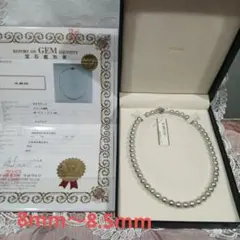 SALE⚠️TASAKI　田崎真珠　8mm　ネックレス　新品お箱鑑別書付
