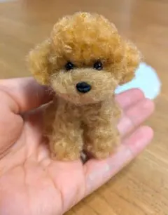 手乗りわんこ　トイプードル　全身　マット付