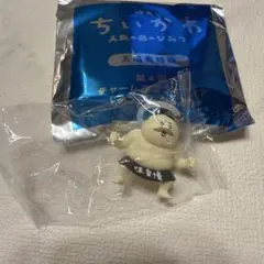 新品未開封品　ちいかわ　映画特典　めじるしアクセサリー