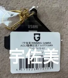 ガンバ大阪 Tシャツ 優勝記念 グッズ 宇佐美 ACL2 モフレム ヒュンメル