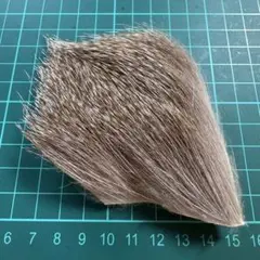 Item thumbnail for item 94c49d82-b9a8-4405-8eac-431dcdf42a33