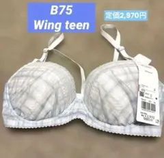 ワコールWing Teenシリーズ　ブラジャー