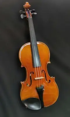 バイオリン Roderich Paesold 804A 4/4 - メルカリ