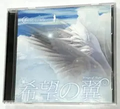 ジョンルーカス　Wings of Hope 希望の翼 ゴスペルアーティスト