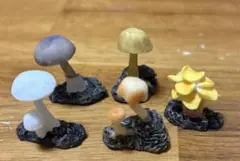 キノコ