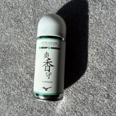 Item thumbnail for item 9b8d8edf-6f6f-4141-9e3a-c6f8a9e8e95b