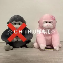 ☆ ＣＨＩＲＵ様専用☆　　ウホウホゴリラのゴリくん春ですね　ST　ゴリももちゃん