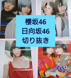日向坂46 櫻坂46(欅坂46) サイズいろいろ♪ 切り抜きまとめ売り