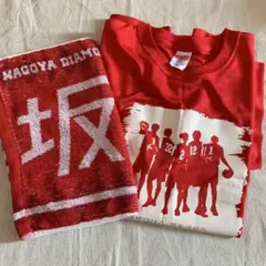 非売品 名古屋ダイヤモンドドルフィンズ 2023-24 シューティングシャツ 非売品 名古屋ダイヤモンドドルフィンズ 2023-24 シューティング
