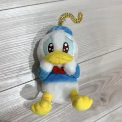 ドナルド　うるうる　ぴえん　ぬいぐるみ　ディズニーストア