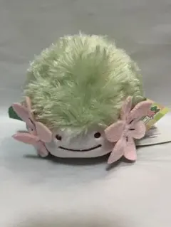 へんしん!メタモン シェイミ ぬいぐるみ - メルカリ