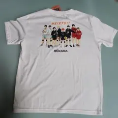 ハイキュー!! MIKASA コラボ Tシャツ