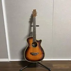 マスタークラフト　ミニエレアコギター James J-300AIICompact ミニギター 597mmスケール エレアコ エフェクト