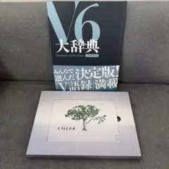 美品✨　V6 Very6 BEST 3CD 初回スリーブ仕様